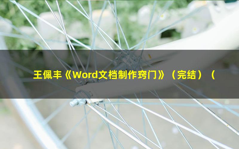 王佩丰《Word文档制作窍门》（完结）（高清视频）