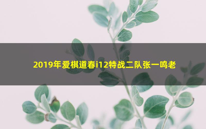 2019年爱棋道春i12特战二队张一鸣老师（围棋32课时+4课复习课）（超清视频）