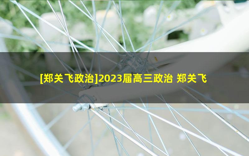 [郑关飞政治]2023届高三政治 郑关飞高考政治二轮复习春季班