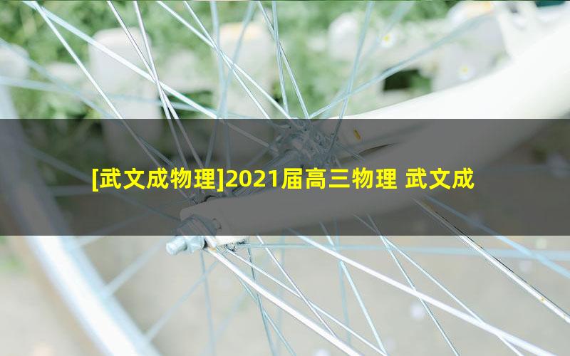 [武文成物理]2021届高三物理 武文成高考物理一轮复习-2020年暑假班