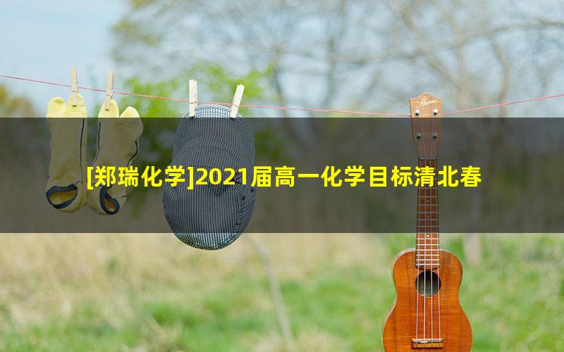 [郑瑞化学]2021届高一化学目标清北春季班