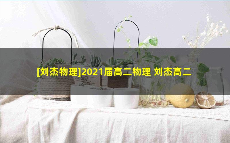 [刘杰物理]2021届高二物理 刘杰高二物理暑假系统班