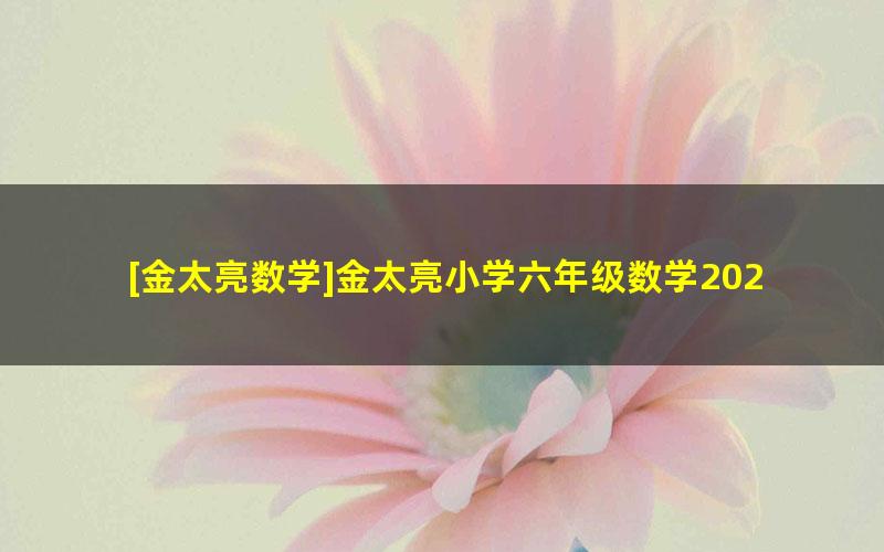 [金太亮数学]金太亮小学六年级数学2020暑假班