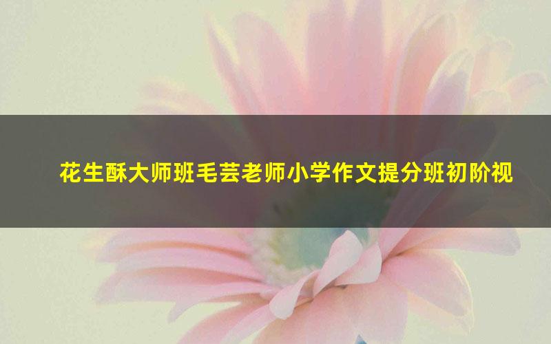 花生酥大师班毛芸老师小学作文提分班初阶视频课程(含PDF讲义)