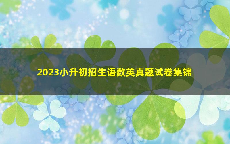 2023小升初招生语数英真题试卷集锦