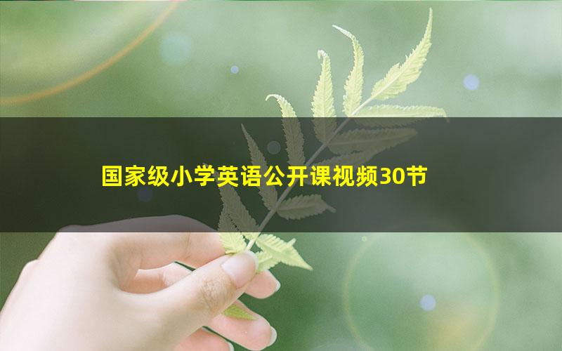 国家级小学英语公开课视频30节