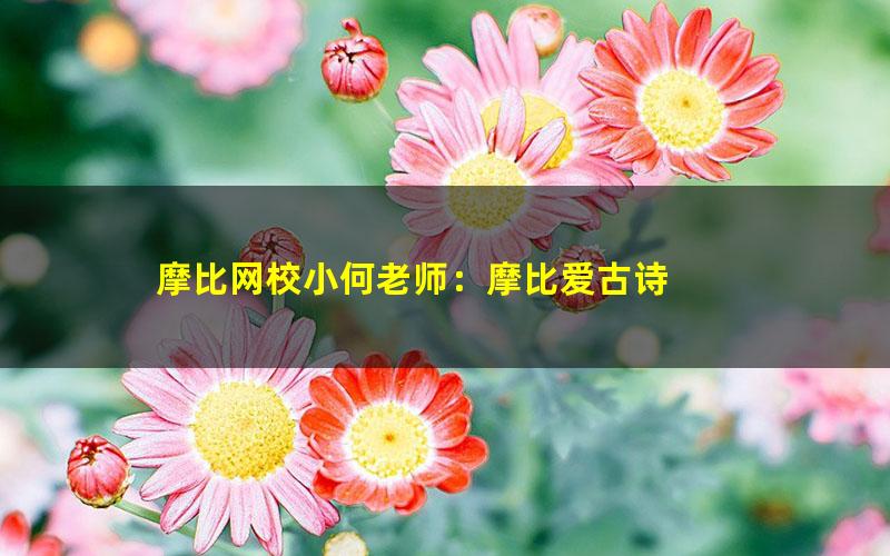 摩比网校小何老师:摩比爱古诗