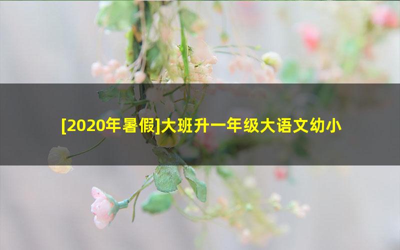 [2020年暑假]大班升一年级大语文幼小衔接培训班（檀梦茜）