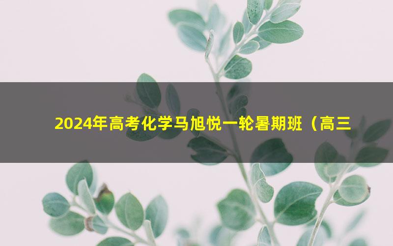 2024年高考化学马旭悦一轮暑期班（高三）（3.81G高清视频）