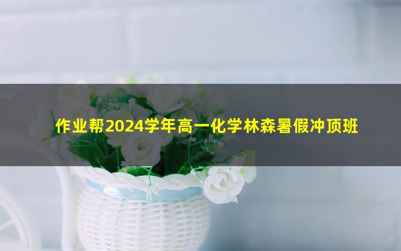 作业帮2024学年高一化学林森暑假冲顶班（秋领航）（9.01G高清视频）