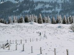 雪景句子唯美简短10字以上(雪景句子唯美简短朋友圈)