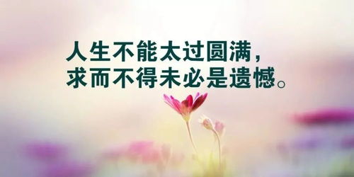 当幸福来敲门六个哲理(幸福精辟句子)