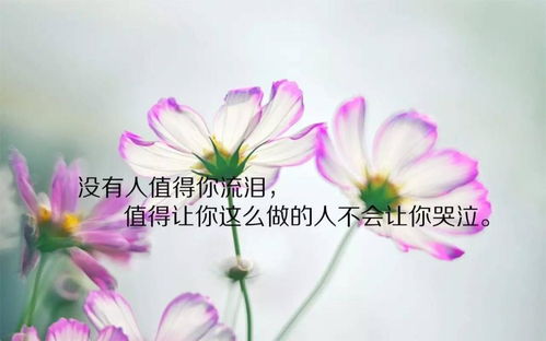 珍惜缘分的话怎么说(珍惜相遇的缘分图片)