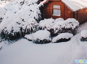 雪景句子唯美简短10字以上(雪景句子唯美简短朋友圈)